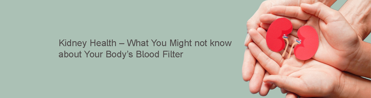 Kidney Health – What You Might not know  about Your Body’s Blood Filter